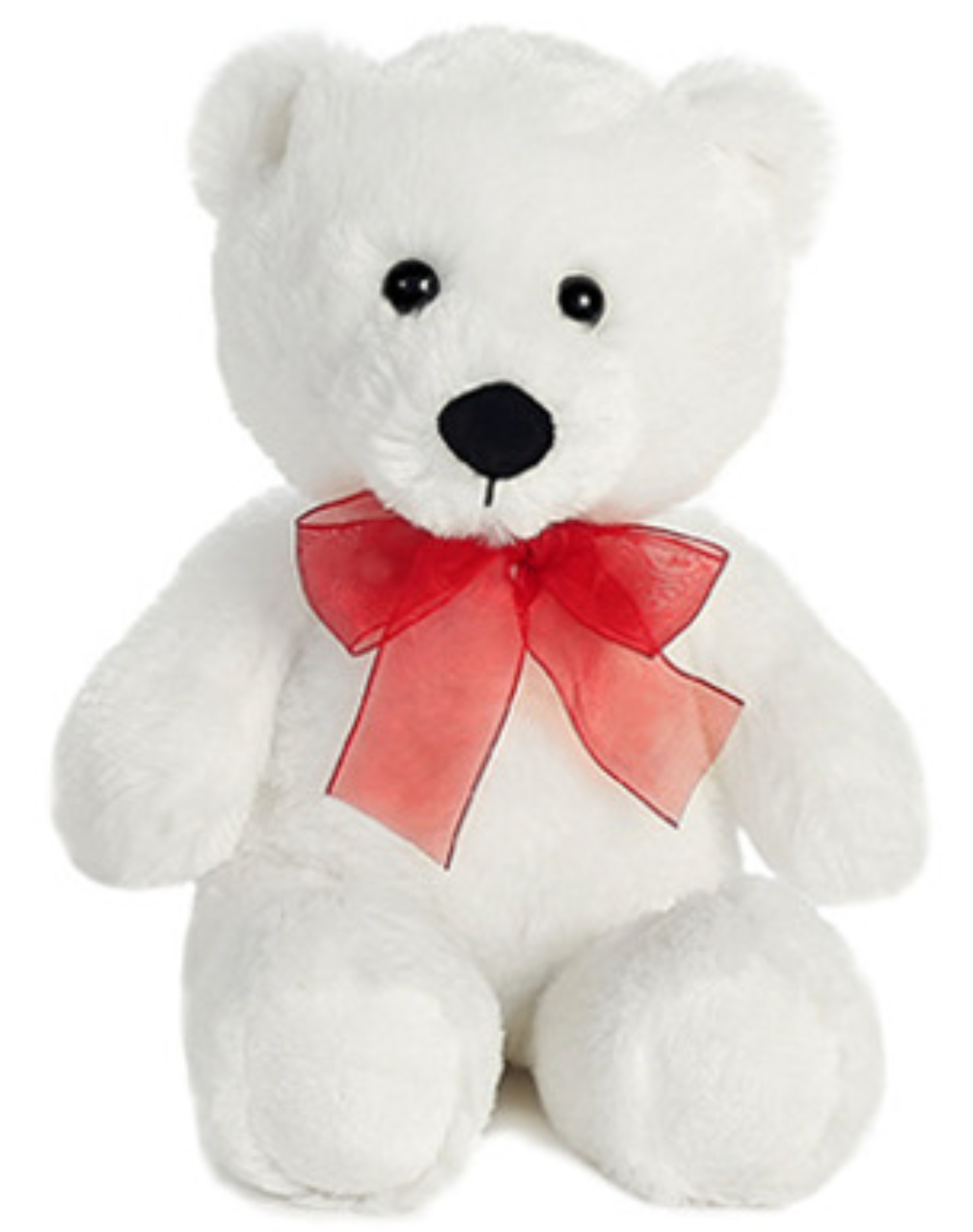 Teddy Bear – Liberty Flower Farm, Forest VA