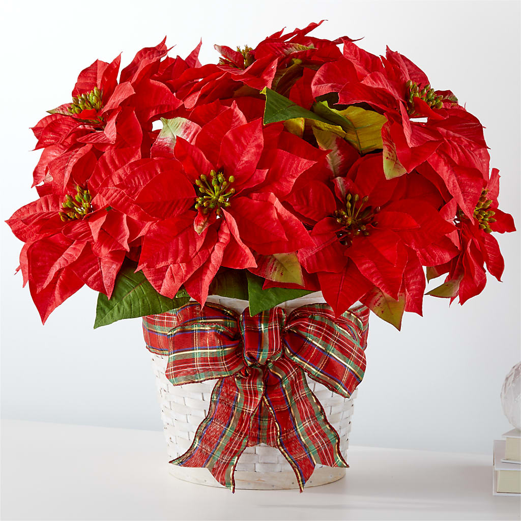 Happiest Holidays Poinsettia – Liberty Flower Farm, Forest VA