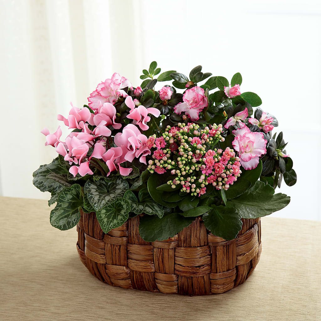 Pink Assortment – Liberty Flower Farm, Forest VA