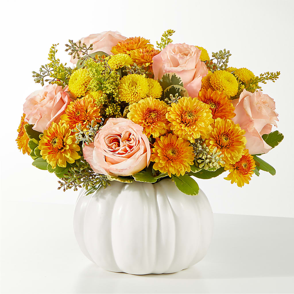 Peachy Pumpkin – Liberty Flower Farm, Forest VA