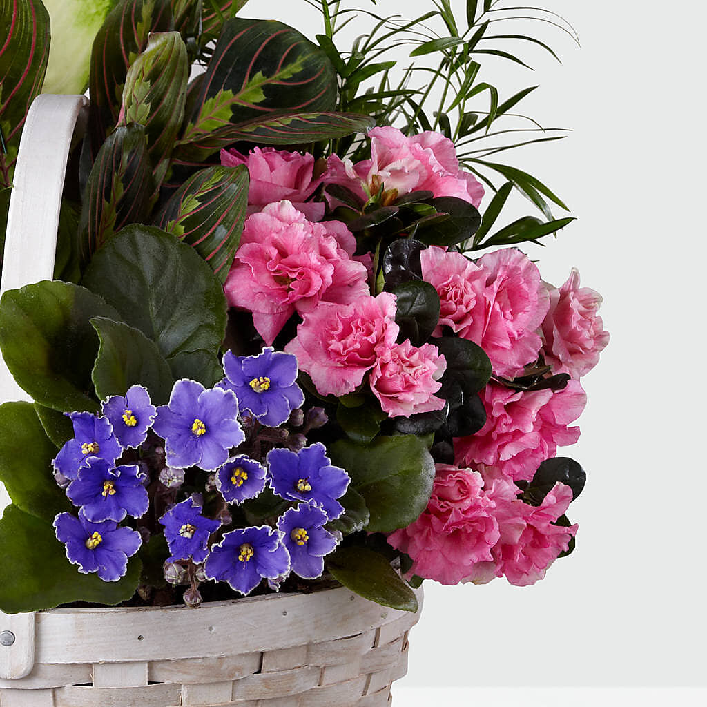 Peaceful Garden Planter – Liberty Flower Farm, Forest VA