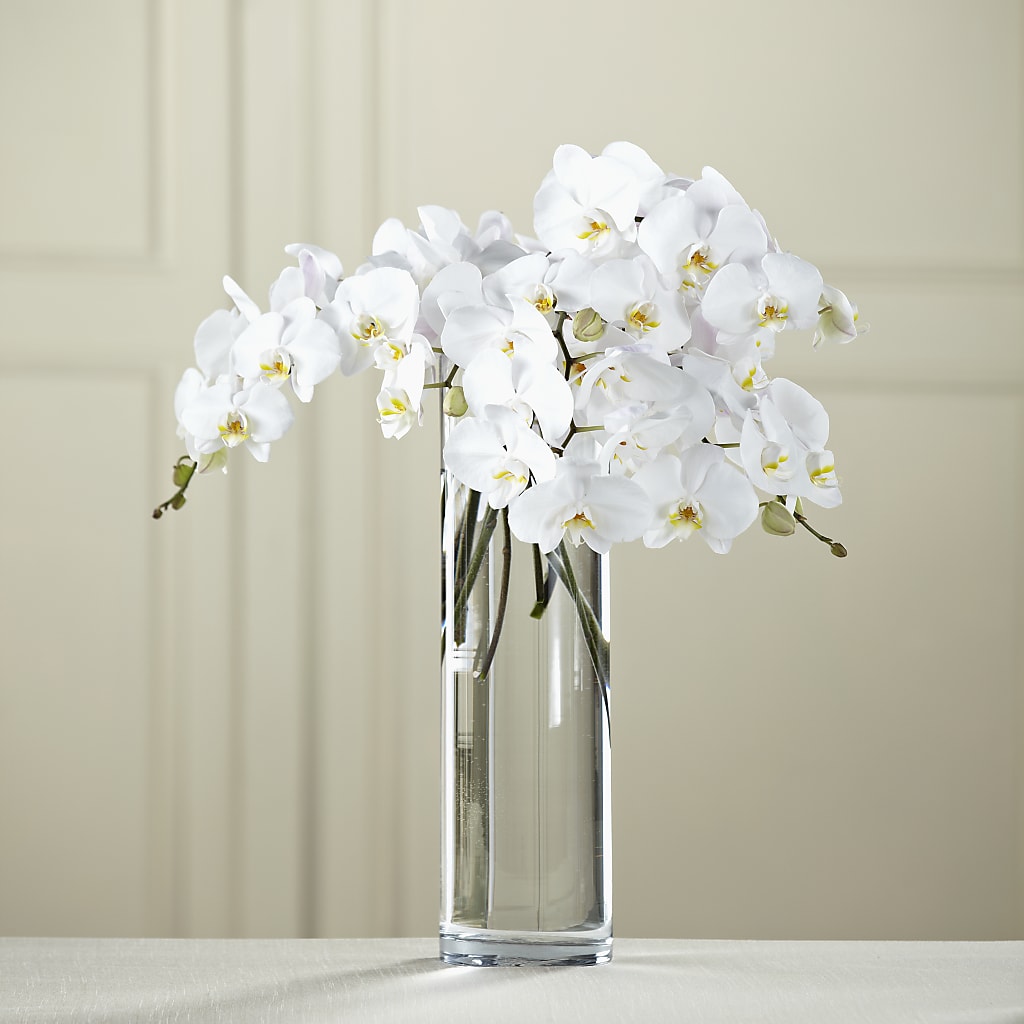 White Phalaenopsis Bouquet – Liberty Flower Farm, Forest VA
