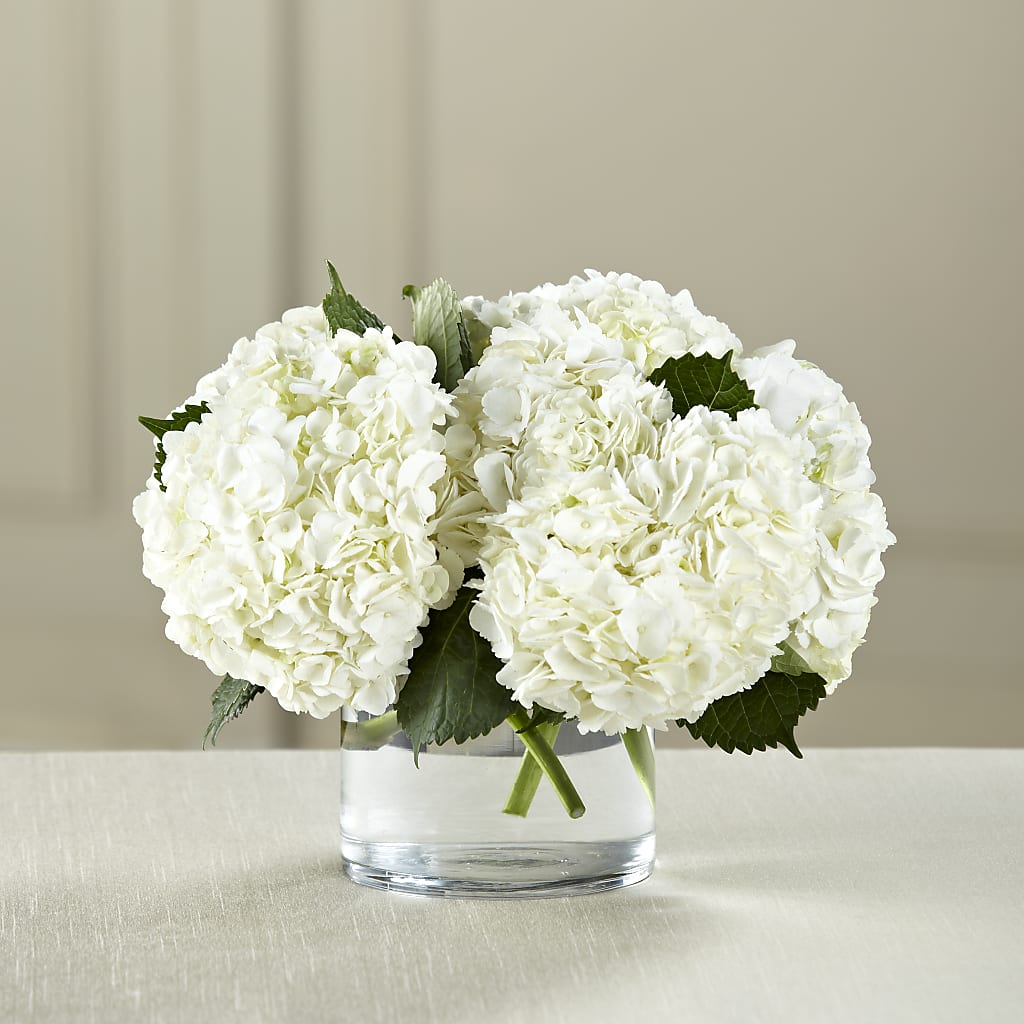 White Hydrangea Bouquet – Liberty Flower Farm, Forest VA