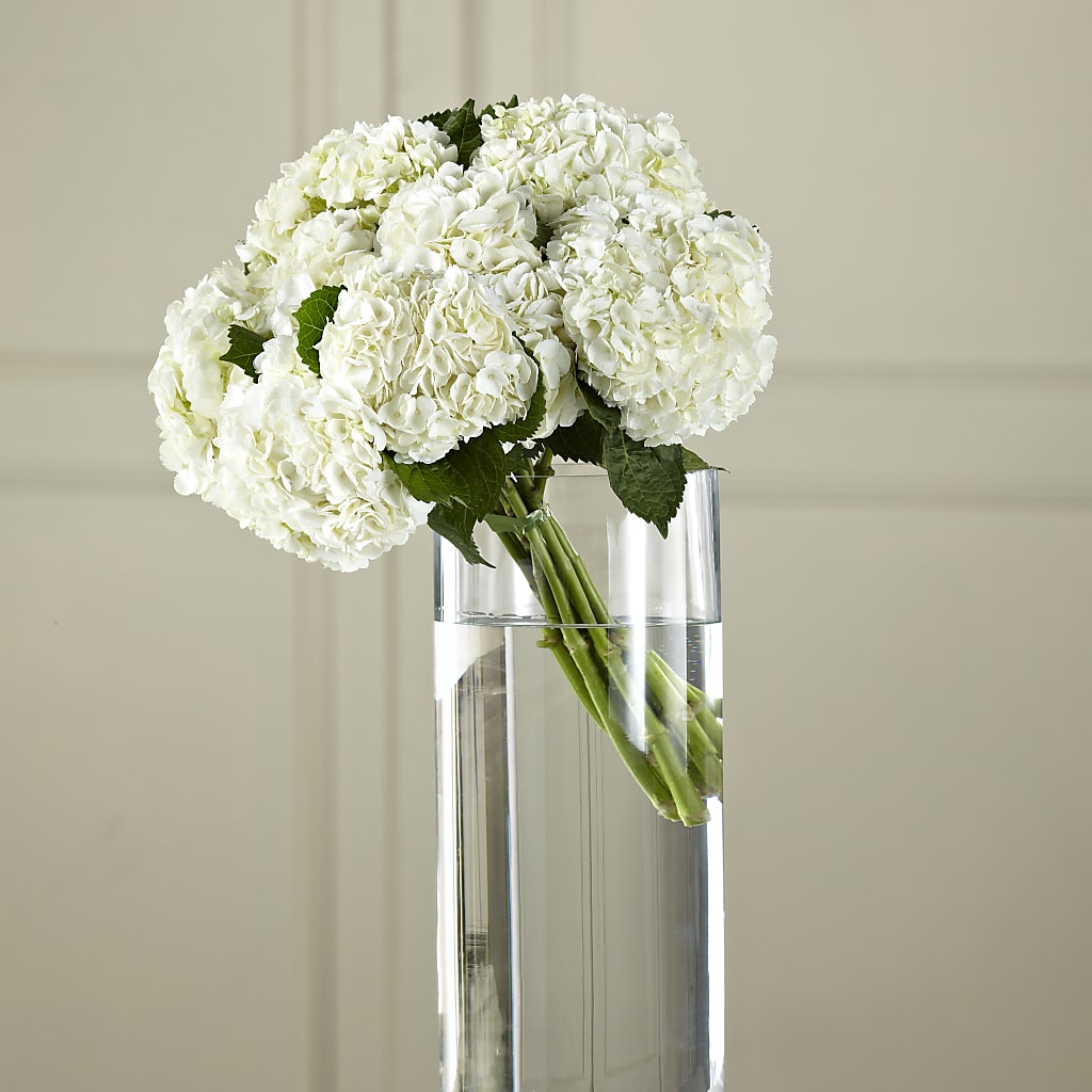 White Hydrangea Hand-Tied Bouquet – Liberty Flower Farm, Forest VA