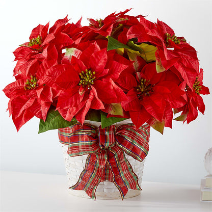 Happiest Holidays Poinsettia –  Liberty Flower Farm, Forest VA