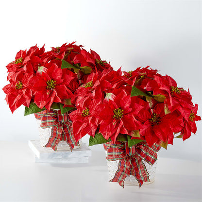 Happiest Holidays Poinsettia Bundle –  Liberty Flower Farm, Forest VA