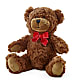 Adorable Plush Bear –  Liberty Flower Farm, Forest VA
