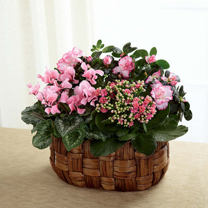 Pink Assortment –  Liberty Flower Farm, Forest VA