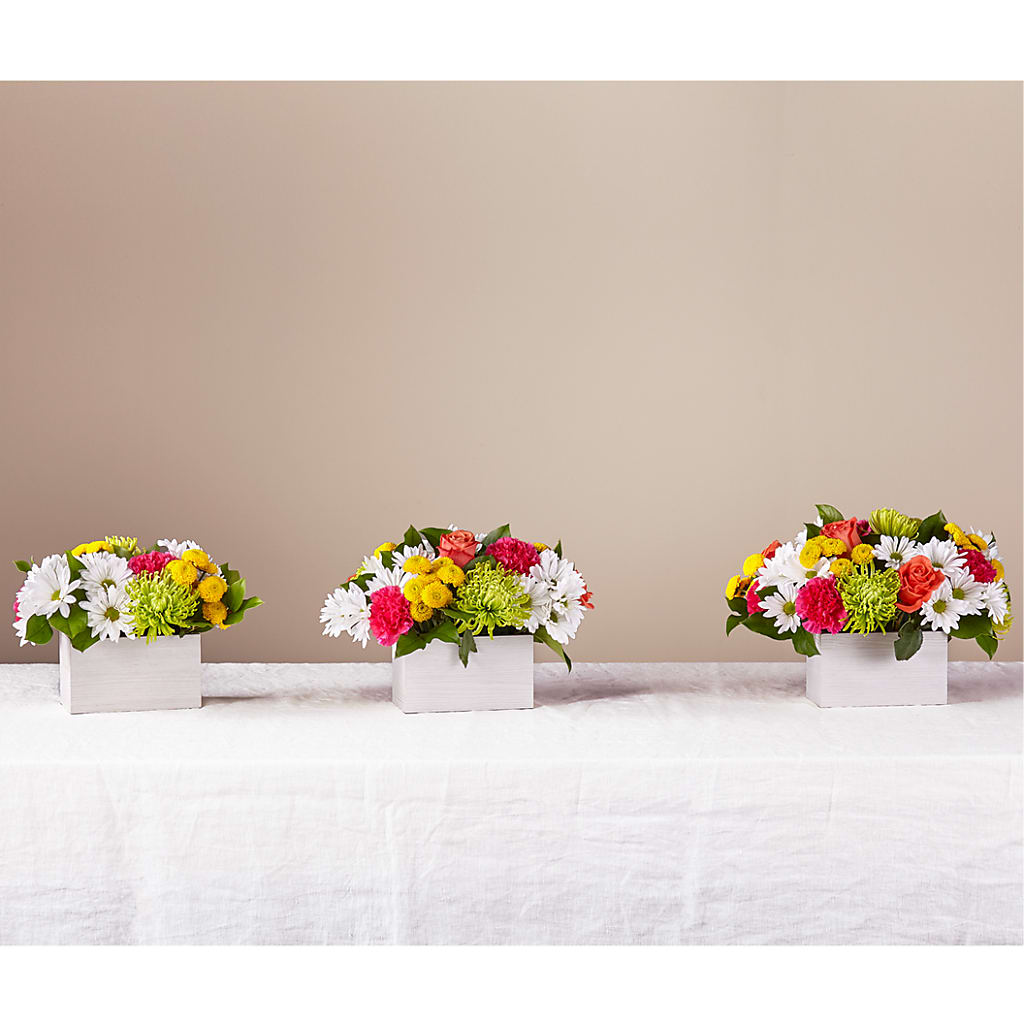 Sorbet Bouquet –  Liberty Flower Farm, Forest VA