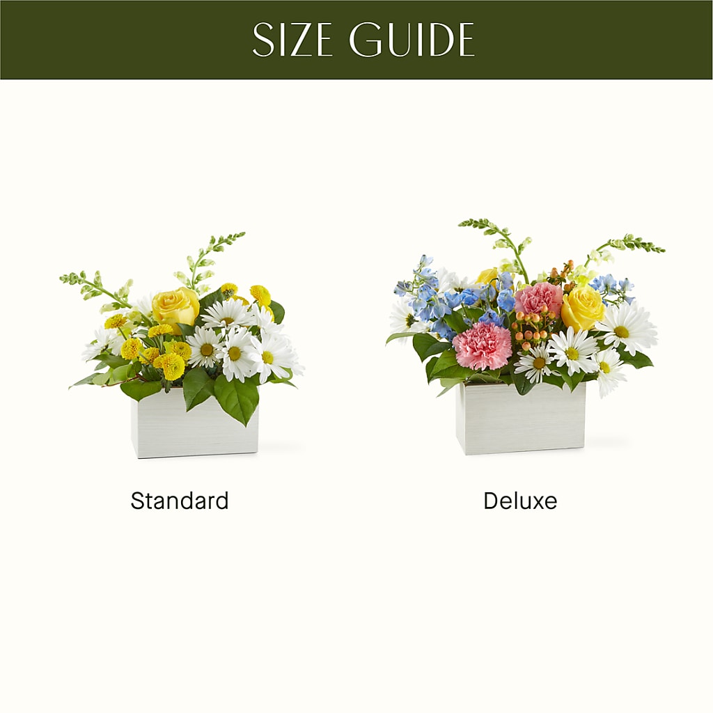 Sun Salutation Box Bouquet –  Liberty Flower Farm, Forest VA