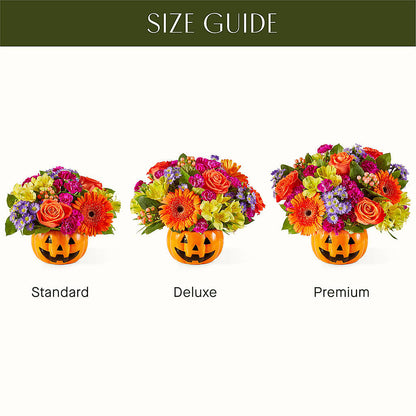 Tricks & Treats Pumpkin –  Liberty Flower Farm, Forest VA