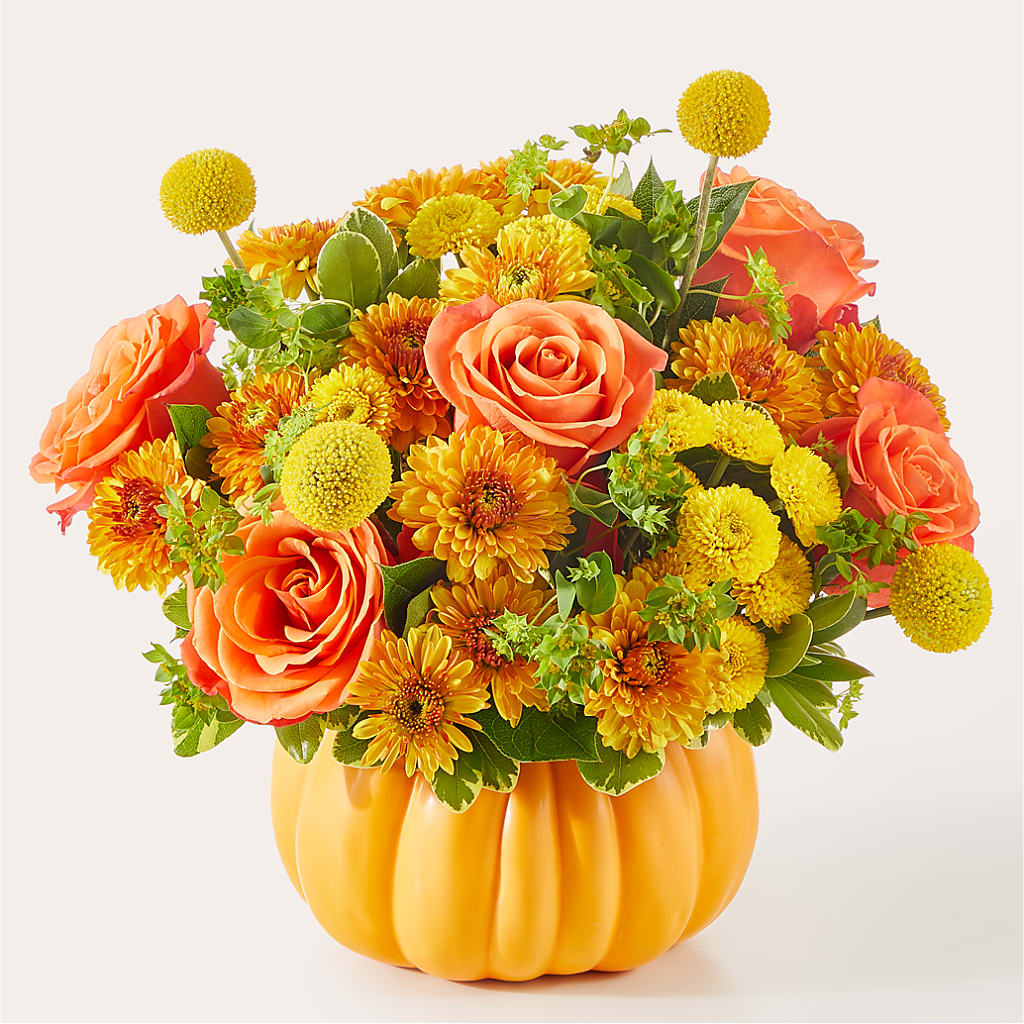 Gourdgeous Pumpkin –  Liberty Flower Farm, Forest VA