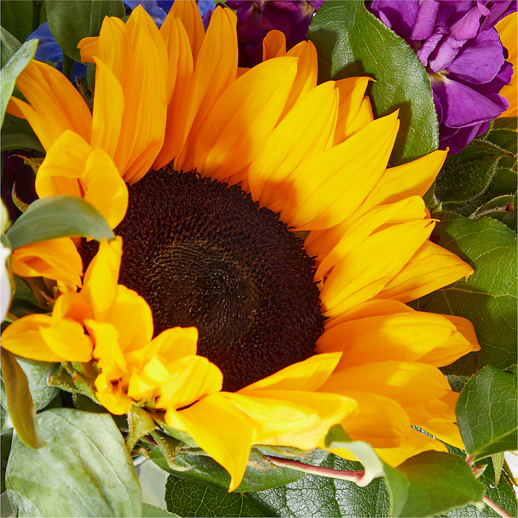 Catching Rays Bouquet –  Liberty Flower Farm, Forest VA