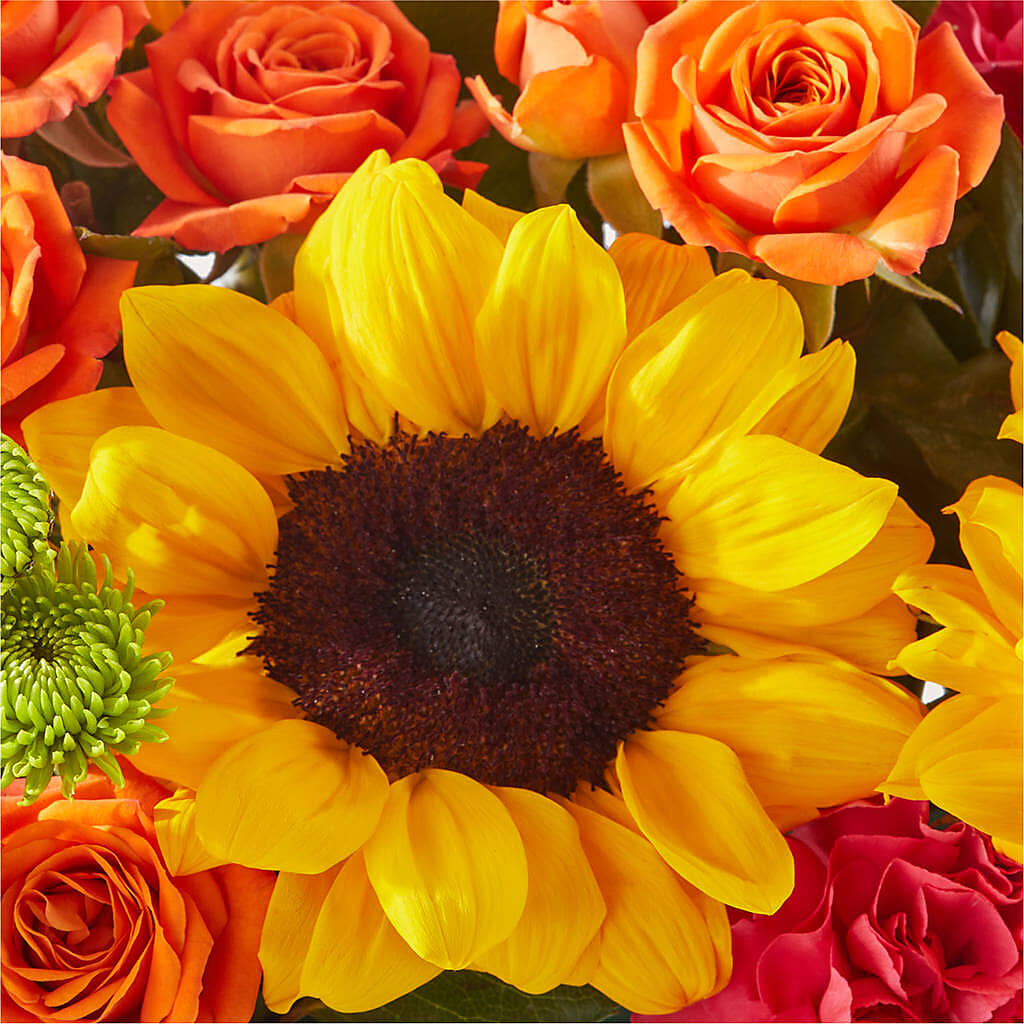 Sun-drenched Blooms Box Bouquet –  Liberty Flower Farm, Forest VA