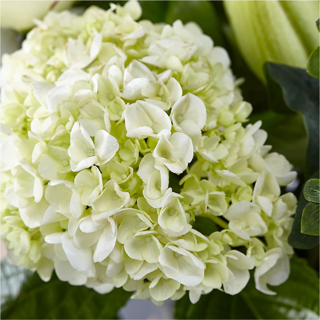 Classic Ivory – A Florist Original –  Liberty Flower Farm, Forest VA