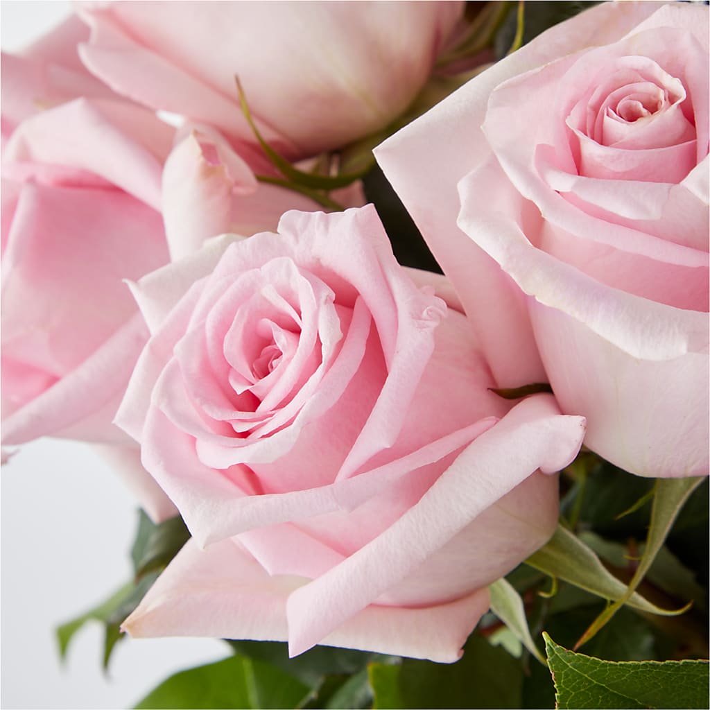 Picture Perfect Pink Rose Bouquet –  Liberty Flower Farm, Forest VA