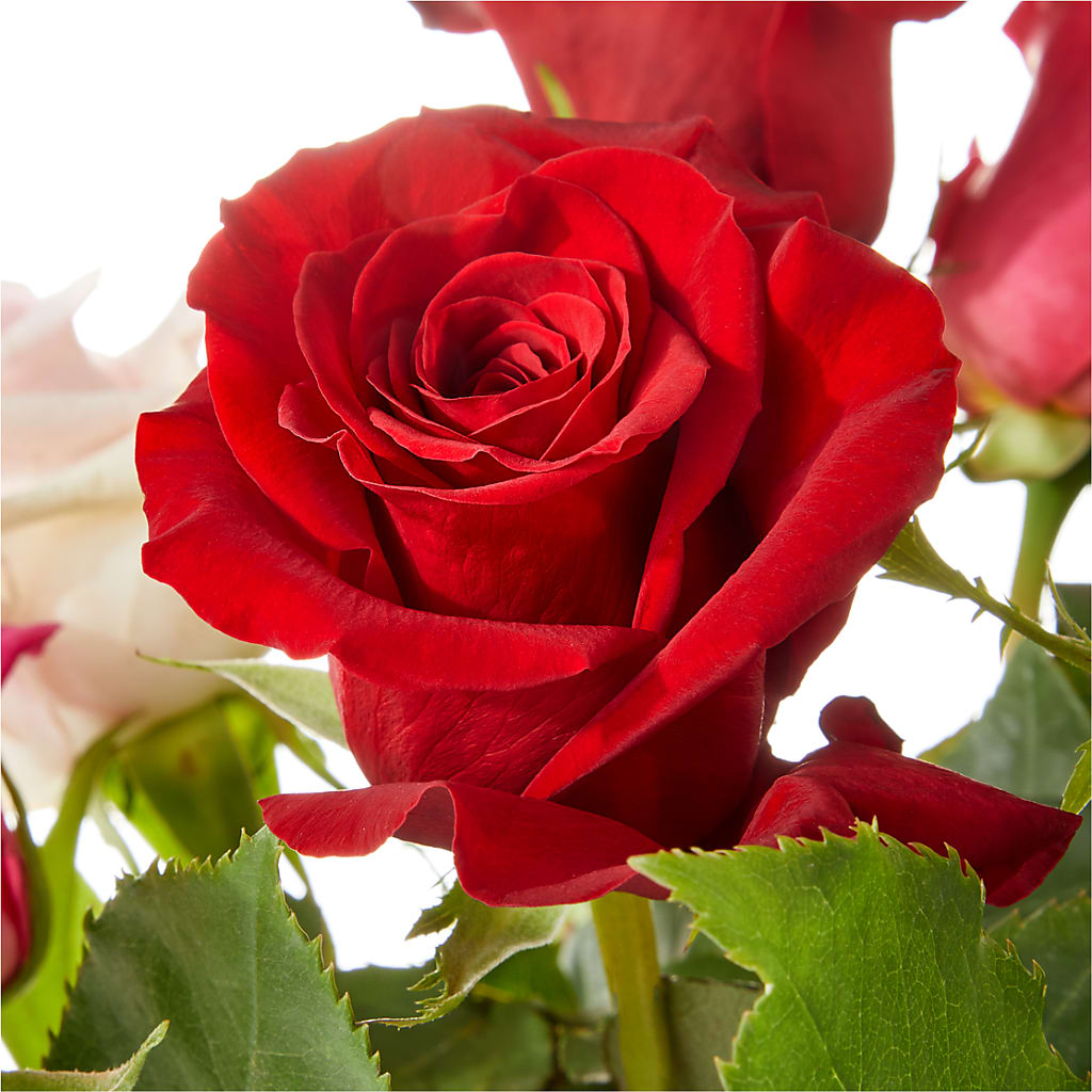Love Notes Rose Bouquet –  Liberty Flower Farm, Forest VA