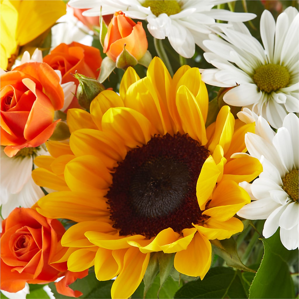Sun-drenched Blooms Bouquet –  Liberty Flower Farm, Forest VA