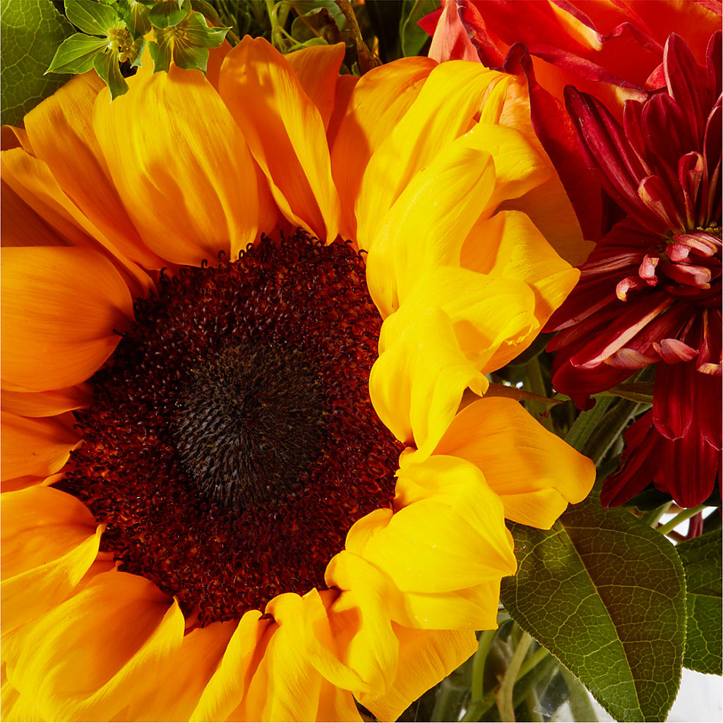 Harvest Festival Bouquet –  Liberty Flower Farm, Forest VA