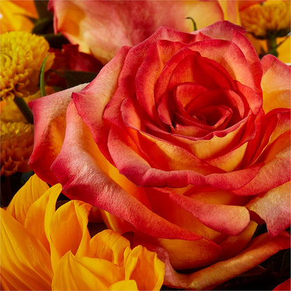 Picnic in the Park Bouquet –  Liberty Flower Farm, Forest VA