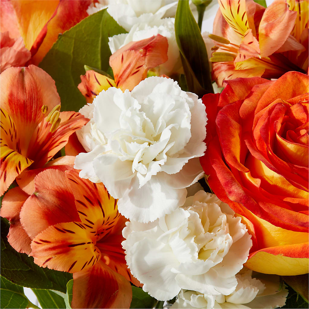 Apricot Glow Bouquet –  Liberty Flower Farm, Forest VA