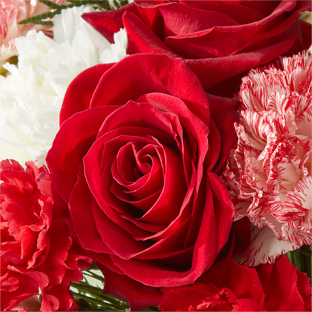 Candy Cane Lane Bouquet –  Liberty Flower Farm, Forest VA