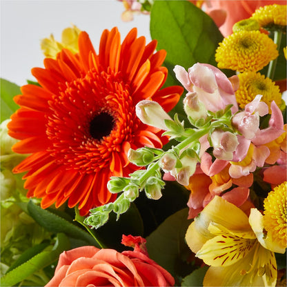 Autumn Sunshine Bouquet –  Liberty Flower Farm, Forest VA