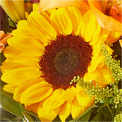 Seasons Change Bouquet –  Liberty Flower Farm, Forest VA
