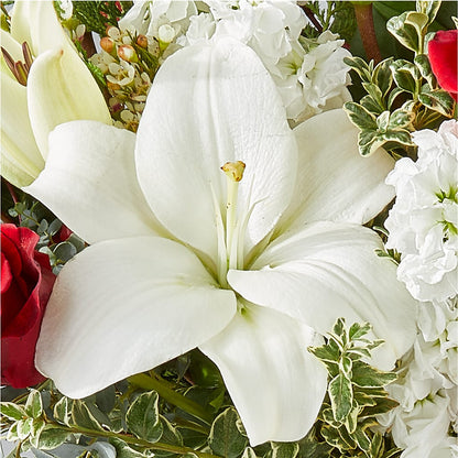 Twinkle Lights Bouquet –  Liberty Flower Farm, Forest VA