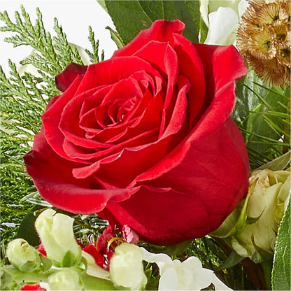 Deck the Halls Bouquet –  Liberty Flower Farm, Forest VA