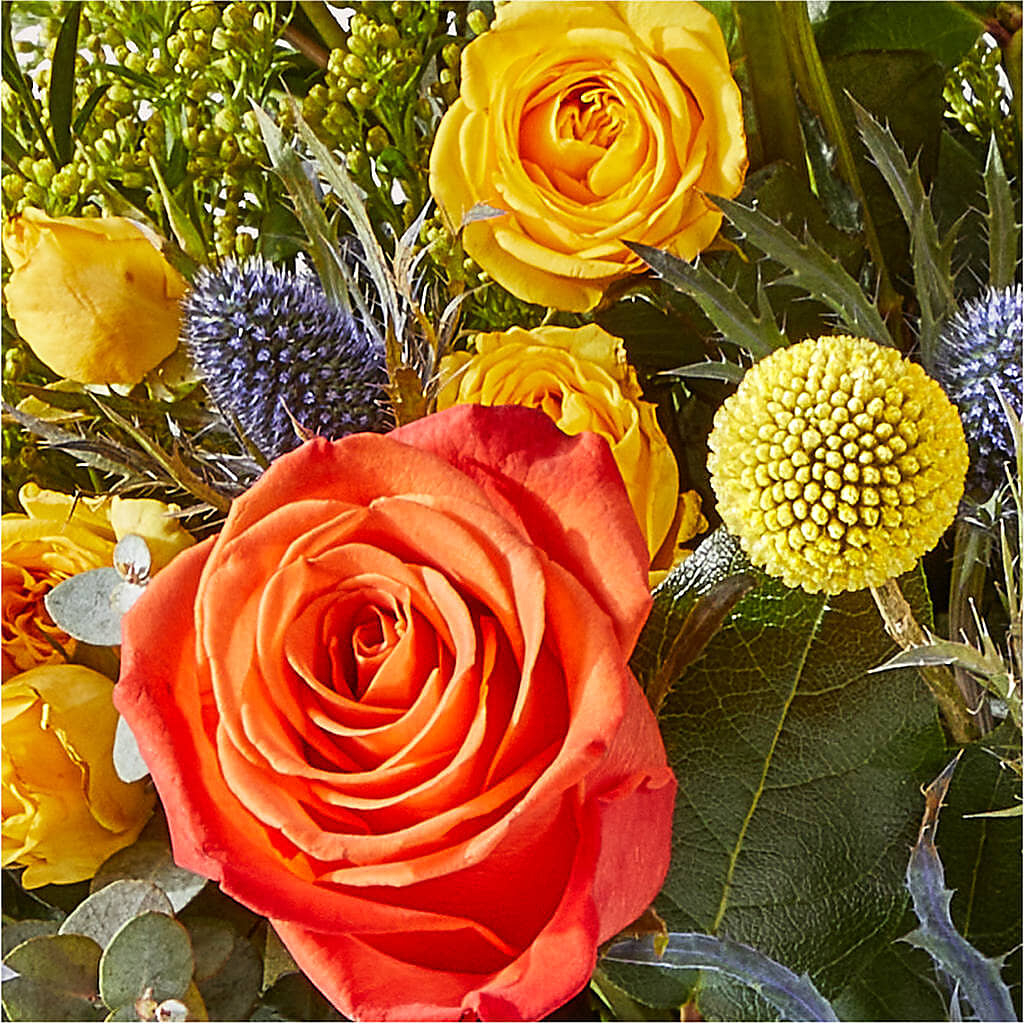 Disco Bouquet –  Liberty Flower Farm, Forest VA