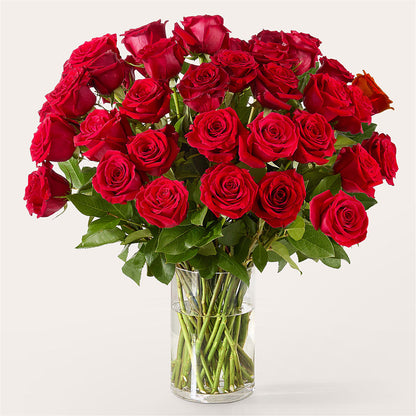 The One Red Rose Bouquet –  Liberty Flower Farm, Forest VA