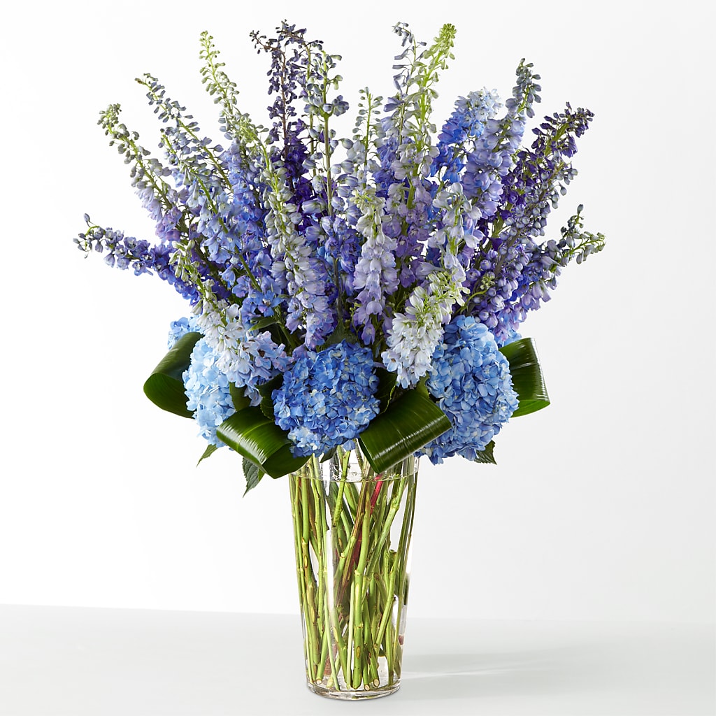 The Editorial –  Liberty Flower Farm, Forest VA