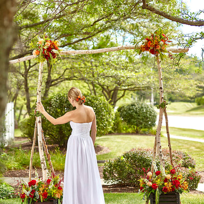 Arbor of Love Archway –  Liberty Flower Farm, Forest VA
