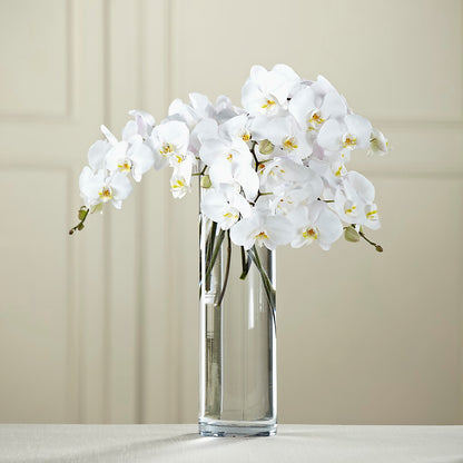 White Phalaenopsis Bouquet –  Liberty Flower Farm, Forest VA