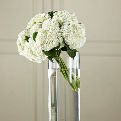 White Hydrangea Hand-Tied Bouquet –  Liberty Flower Farm, Forest VA